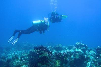 Scuba divers on coral reef off Pemba, Tanzania